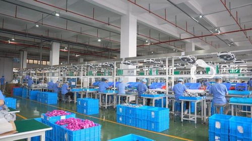 威邦運(yùn)動(dòng) 跨越山巒擁抱世界